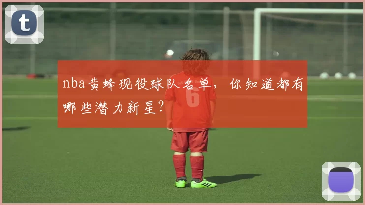 nba黄蜂现役球队名单，你知道都有哪些潜力新星？