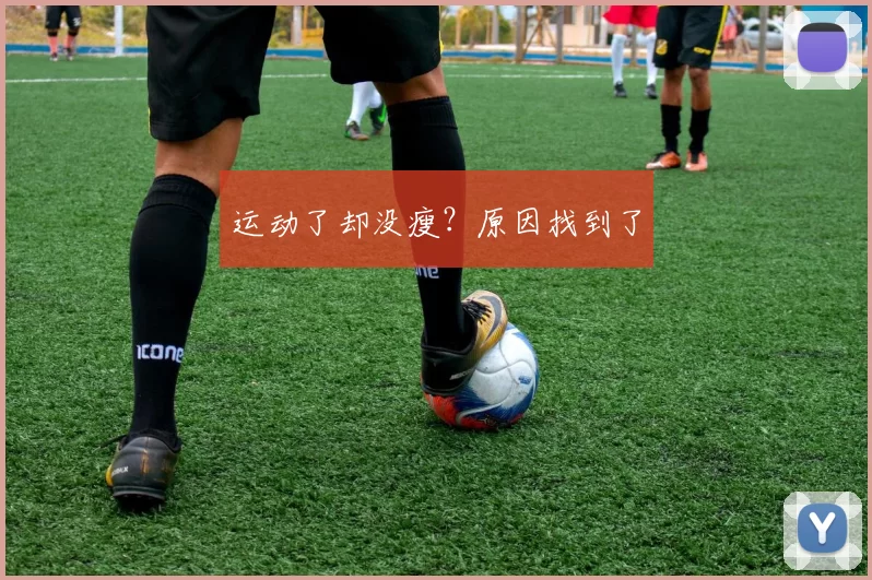 运动了却没瘦？原因找到了