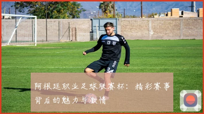 阿根廷职业足球联赛杯：精彩赛事背后的魅力与激情