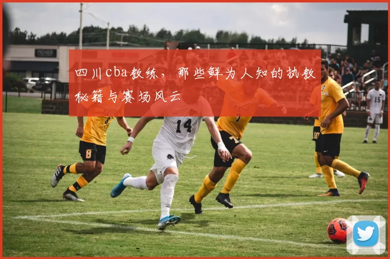 四川cba教练，那些鲜为人知的执教秘籍与赛场风云