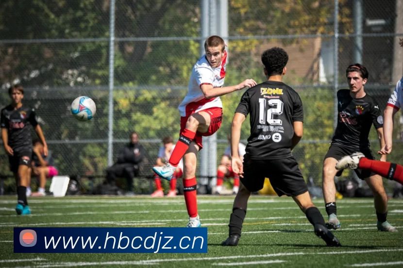 开云手机端·官方版入口 - 开云online(中国)APP 封面图